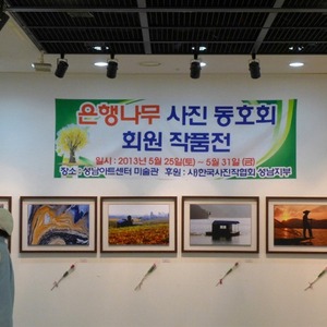 성남 은행나무 사진동아리 정기회원전 2013년 5월 25일 성남아트센터 전시 